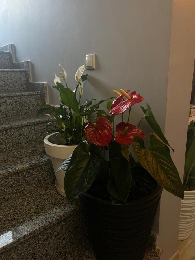 Villa Residence Kvariati Dış mekan fotoğraf