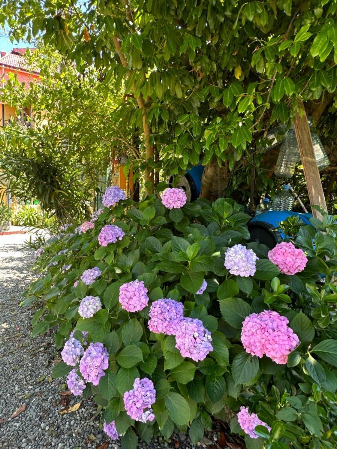 Villa Residence Kvariati Dış mekan fotoğraf
